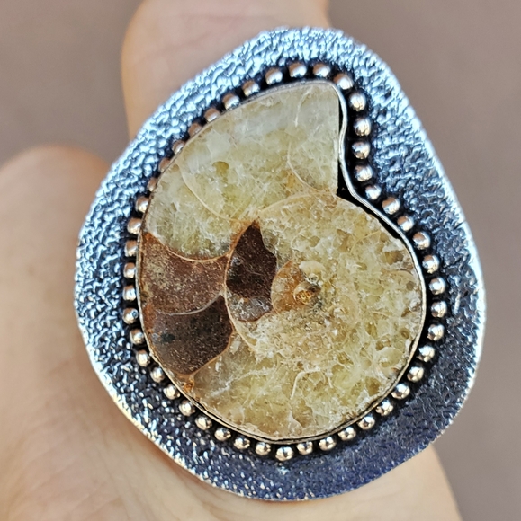 New Unique Oversized Ammonite 925 Silver Ring. - Picture 3 of 13
